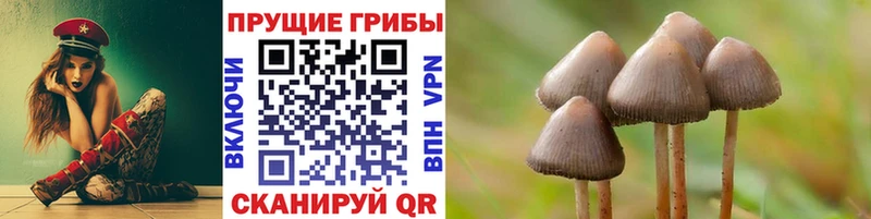 купить  цена  Электроугли  Псилоцибиновые грибы Psilocybine cubensis 